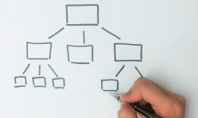 World Endoscopy Organization - Structure